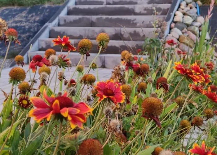 Sadowa Ostoja Apartament